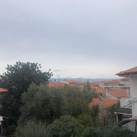 Miminllari Apartments 2 佩科霍里 外观 照片